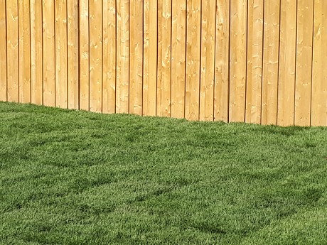 New wood privacy fence with tight vertical boards along a freshly sodded lawn